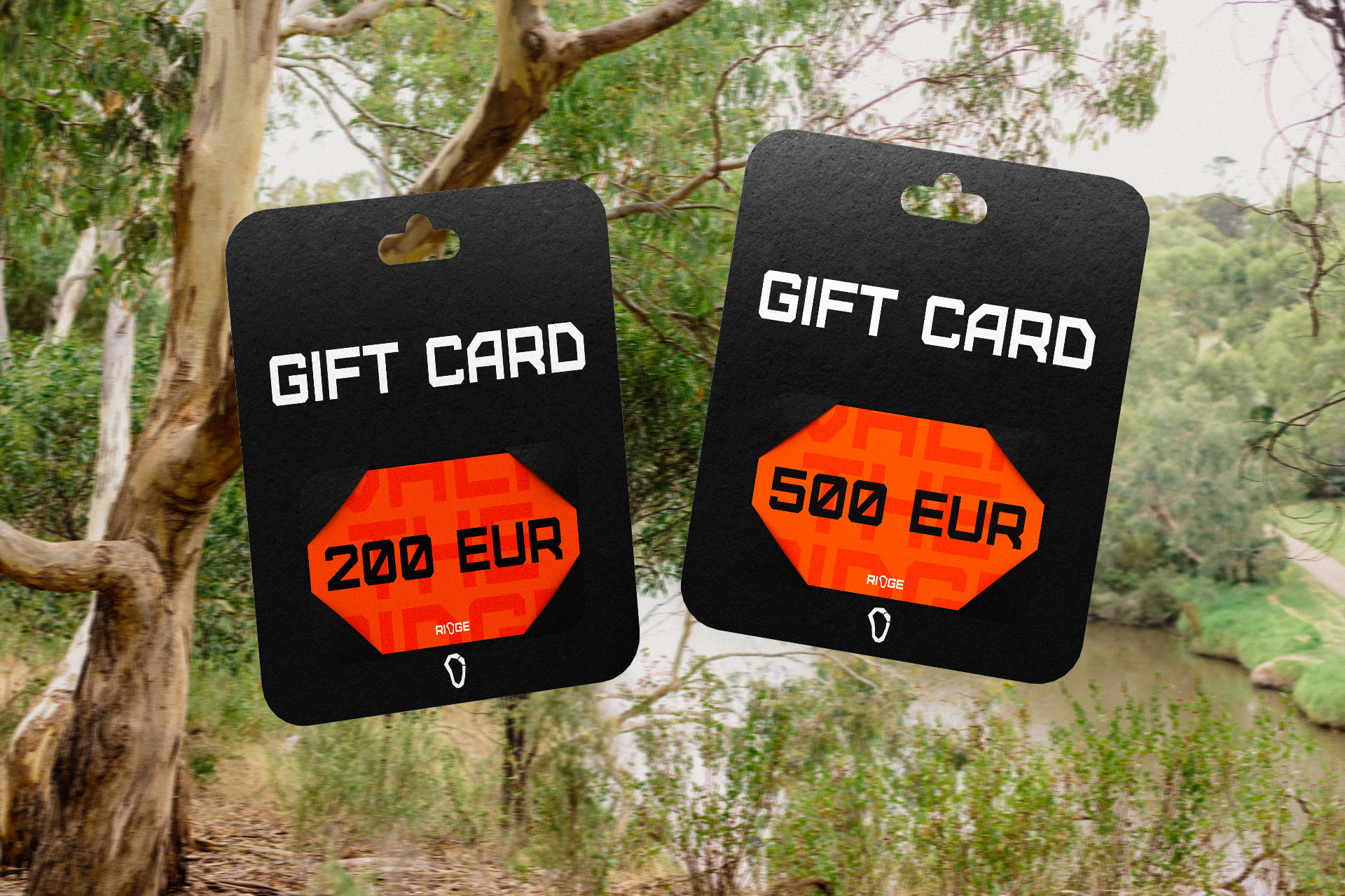 Ridge, gift card packaging